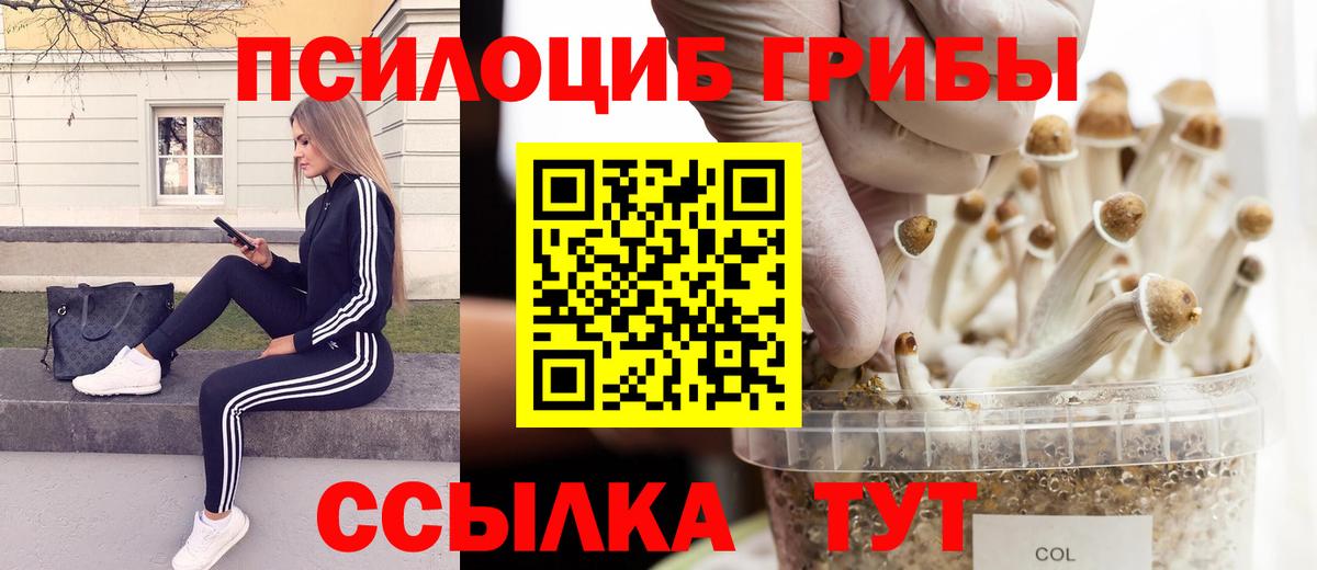 Домодедово  Галлюциногенные грибы прущие грибы  Галлюциногенные грибы Psilocybine cubensis  Вход с VPN 