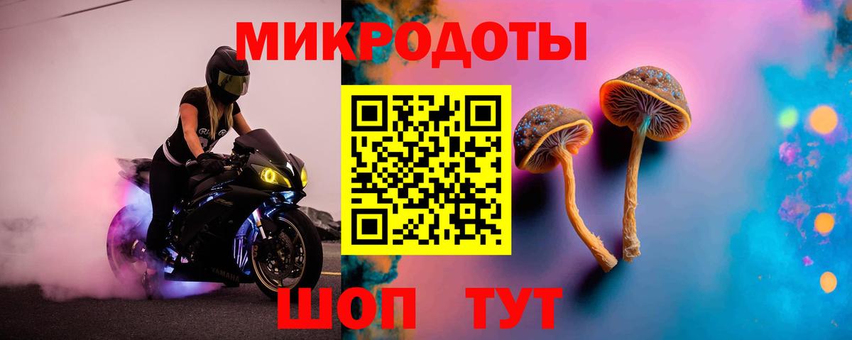 Галлюциногенные грибы Magic Shrooms Домодедово